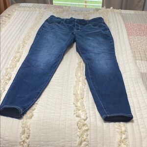 American Eagle Blue Jeggings with Classic Style